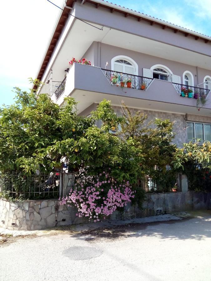 Vonitsa Loft Apartment 1 ภายนอก รูปภาพ